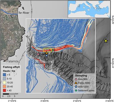 Contrasting particle fluxes and composition in a submarine canyon affected by natural sediment transport events and bottom trawling